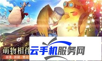 风之国世界有哪些宠物 风之国宠物获取指南